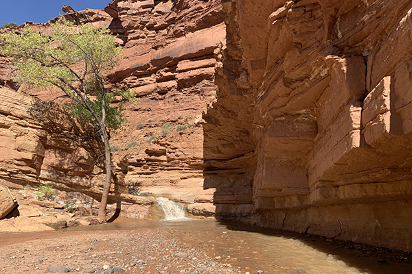 Sulphur Creek