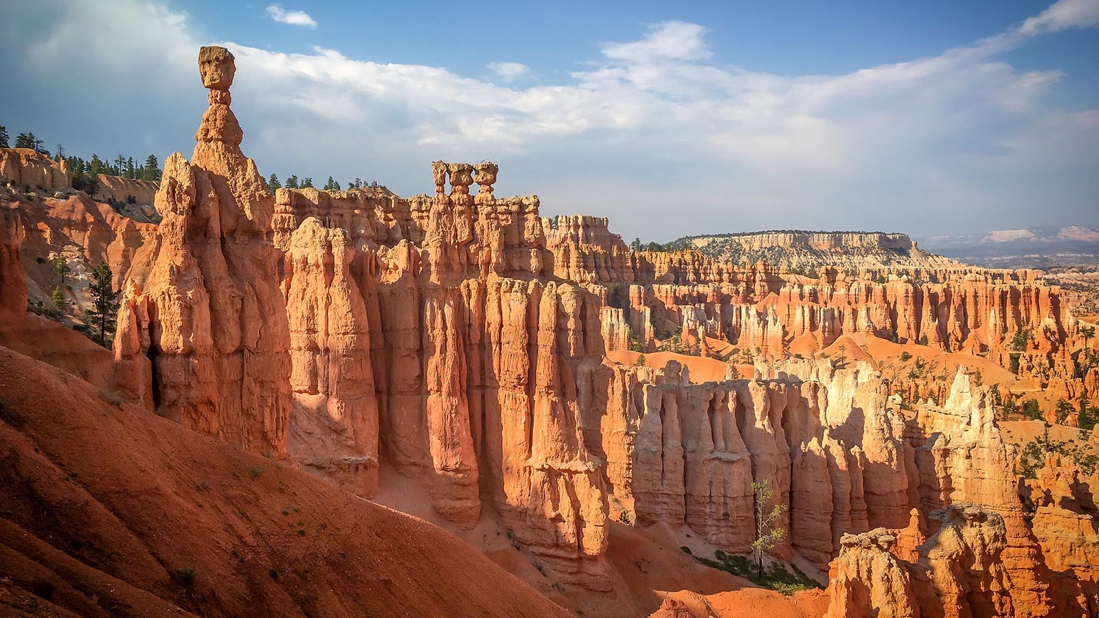 navajo